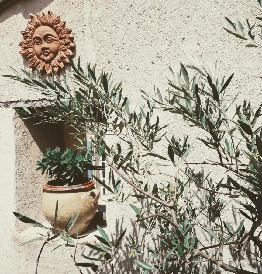 La Terrasse D'Olea, Au Coeur Du Village Buis-les-Baronnies Exterior foto
